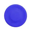 Mini Frisbee
